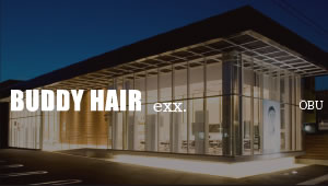 BUDDY HAIR Leap OBU