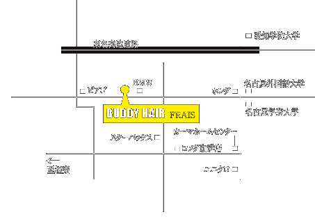 BUDDY HAIR PLUS