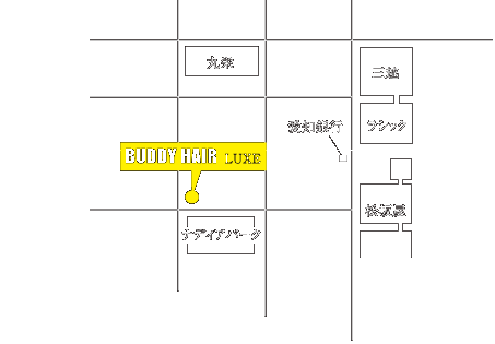 BUDDY HAIR PLUS