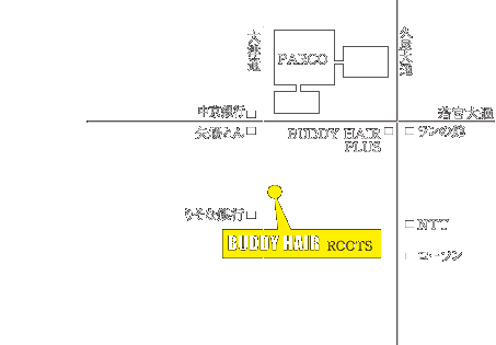 BUDDY HAIR PLUS