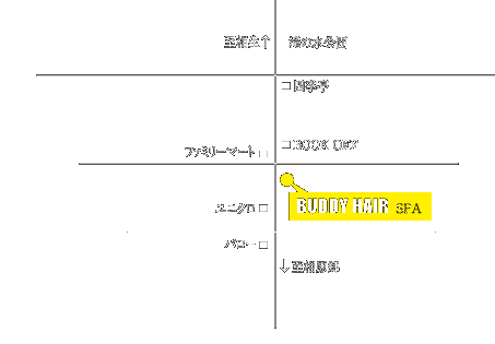 BUDDY HAIR PLUS