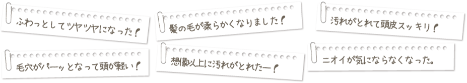 体験されたお客様の声を集めました