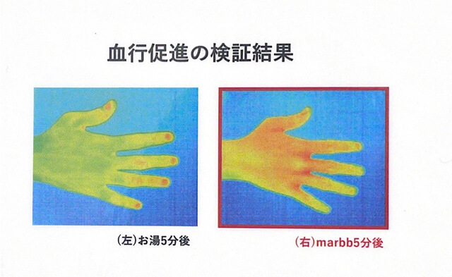 検証結果