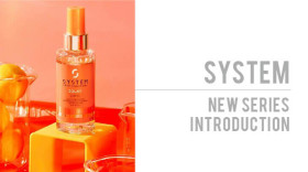 system-professional