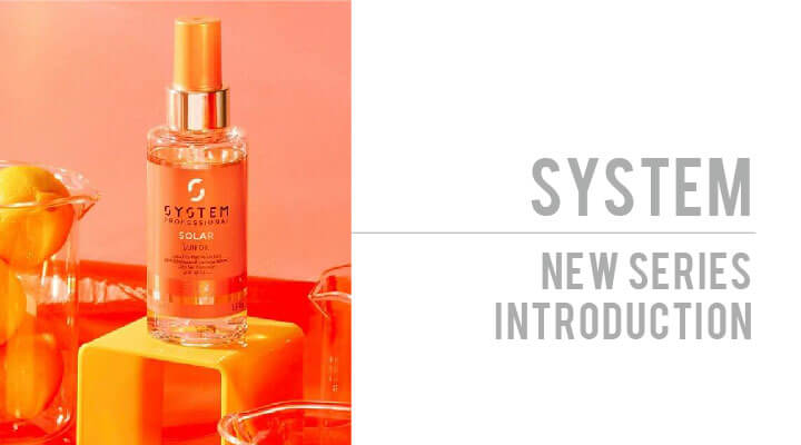system-professional