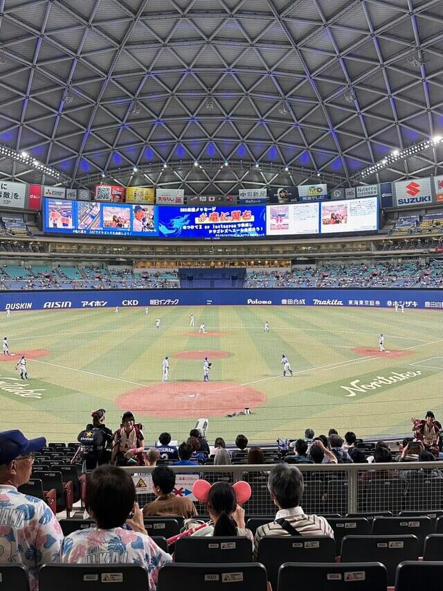 スポーツ観戦