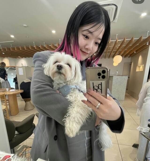 スタッフ