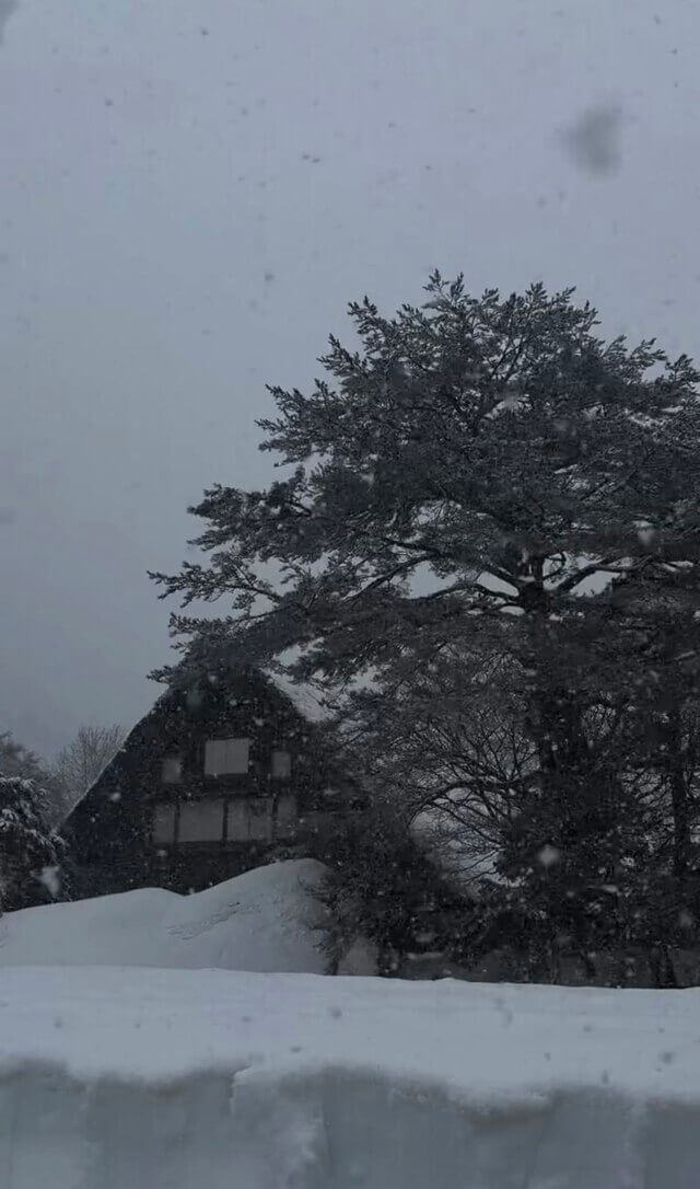 景色